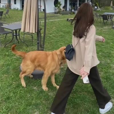 十三个女人